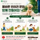 반려문화 네이버블로그