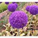 상상농장 이미지