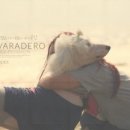 베라데로 이미지