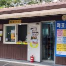 창평로 이미지