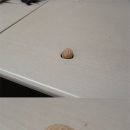 호두까기