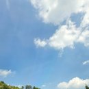 태곡 | 함안 리틀포레스트,내돈내산!