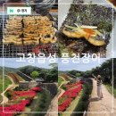 잔디수산 | 전북 고창 가볼만한곳 고창읍성 철쭉 풍천장어 맛집 우리수산