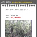 중문동-25 이미지