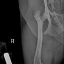 본 동물메디컬센터 외과동물병원 이미지