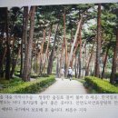 생활원예 야간 이미지