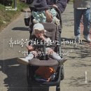 휴대용유아차 누비앤타보레노 구매후기 구매이유와 사용후기 가격