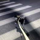 윤이네집밥 이미지