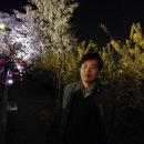 김유신장군로 이미지