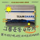 크로스핏 돌멩이 | [서울/성북구] 샤크짐 2호점 여성전용 그룹운동 | 4주차 크로스핏 PT 후기