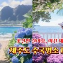 제주에핀초
