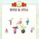 보라세탁소 이미지