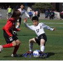 성호초등학교 이미지