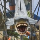 용인대범호태권도장 이미지