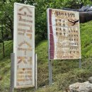 남구미토종식당 | 구미오태동맛집 남구미토종식당 동태탕 점심