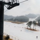 [겨울철 스키장] 나의 첫 스키장 “오크밸리” 12년만에 재방후기