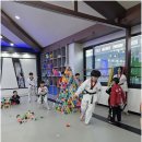 한국체대 건강한태권도 이미지