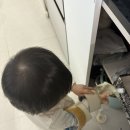 포곡도서관 | [육아] D+443 l 판교 브런치 l 포곡도서관 l 책육아