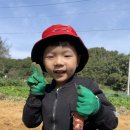 명문유치원 이미지