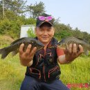 황산제 이미지