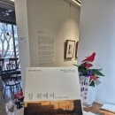 델문도로스터스 이미지