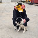 양덕동501 이미지