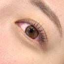 세컨페이스 위드렌즈 | [렌즈 추천] 멜팅헤이즈 브라운 세컨페이스 위드렌즈 대구월성점 구매 후기