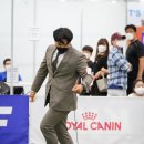 스타덤 펫살롱 네이버블로그