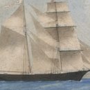 셀러스트 이미지