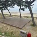 A19 | 고창 동호해수욕장 국민여가캠핑장 A19 이용후기 A구역 B구역 비교