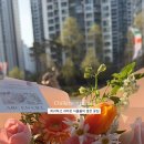 아크앤시엘 이미지
