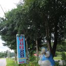 대영낚시터 이미지