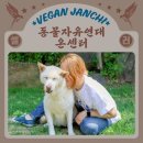 클라블라우 이미지