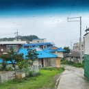 원원민박 이미지