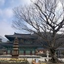 보현박물관 | 영암 월출산 [도갑사 템플스테이] 완벽후기 🙏✨ #영암군 가볼만한곳 #국내 템플스테이 체험