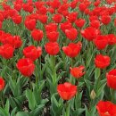 왕바위길 이미지