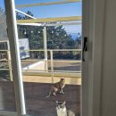 중문 골드빌라스 대가족숙소 펜션 이미지