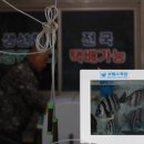 옥포활어횟집 이미지