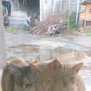 (주)효소세상 이미지
