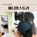 지상길농장 | [강릉] 아기랑 가볼만한곳 실내동물농장 애니멀스토리