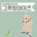 (주)청려원 네이버블로그