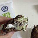 CU 천호고분 이미지