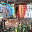 범안로21번길 이미지