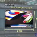 주식회사 칼라애드 네이버블로그