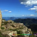 싱싱0202 이미지