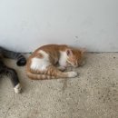 정선다온펜션 | 우당탕탕 악독한 여름나기!