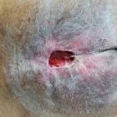 강서스마일재가센터 이미지