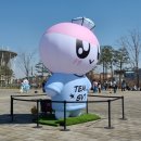 [덕질일기-1] 세븐틴 Follow 인천 앙콘 막콘 후기(라 쓰고 주접글이라 읽는다)