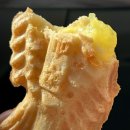 군산 깨끗한 붕어빵 맛집 | 달달 토스트 붕어빵