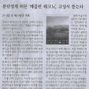 전국/ 80년 만에 첫 추념식…10월항쟁 유족들 “아직 할 일 많다”/ 대구 가창골 위령탑 가보니(민중이 깨어나야 나라가 바로 선다) 이미지